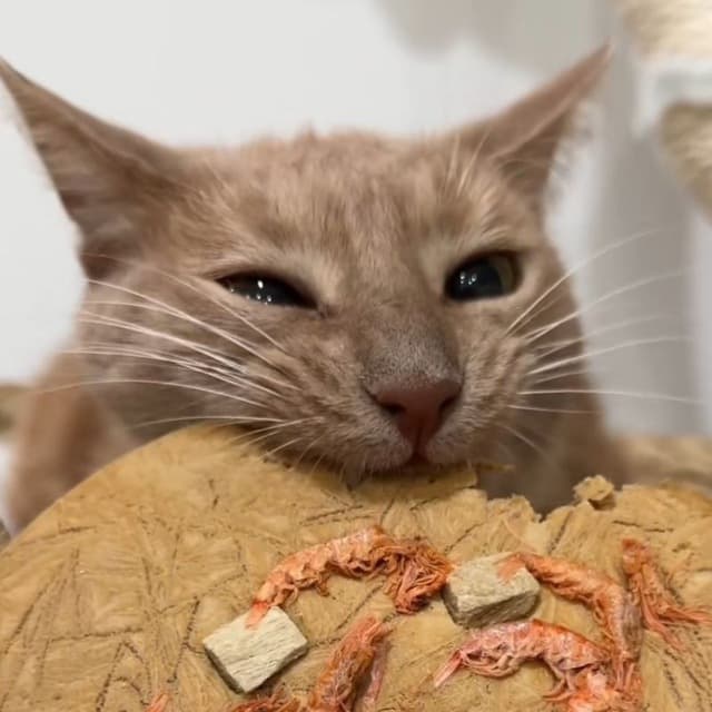 Майнд